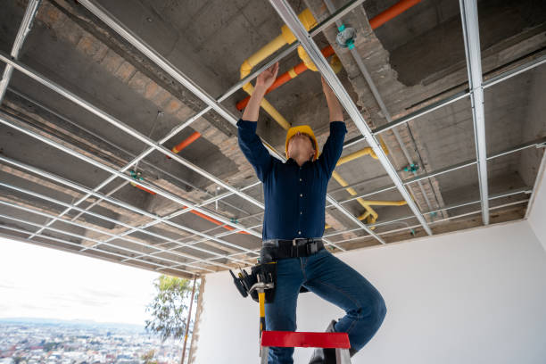 Best Plumbing Inspection Services  in Burton, SC